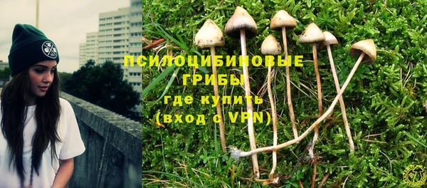 таблы Алзамай