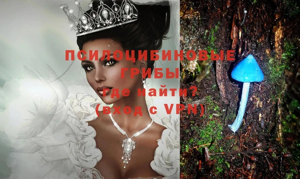 таблы Алзамай