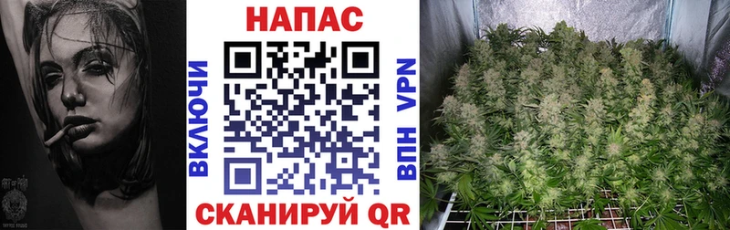 МАРИХУАНА планчик  blacksprut маркетплейс  Курлово 